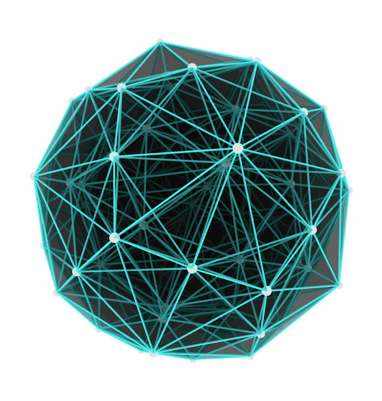 Projection de Petrie d'un 600-cellules, l'hexacosichore régulier en 4 dimensions